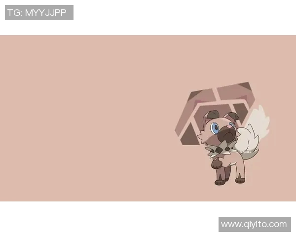 12月16日1930分广东加油! Lets go tigers!